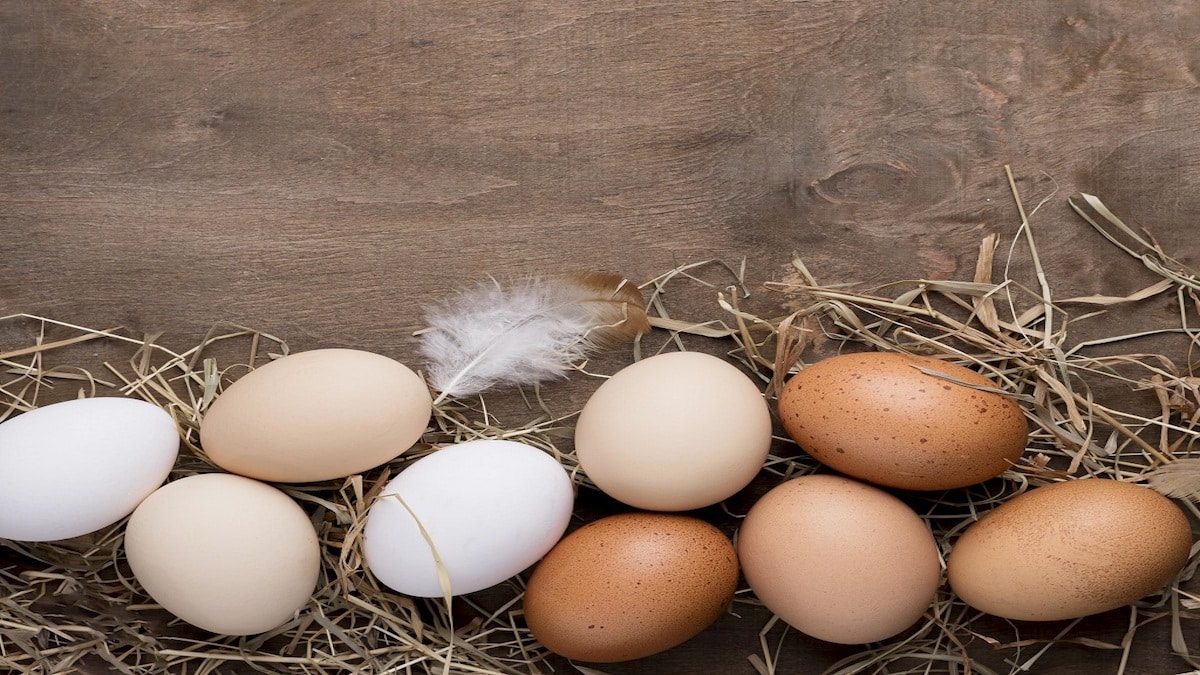 Les œufs augmentent-ils le taux de cholestérol ? Les experts révèlent les mythes qui entourent cet aliment