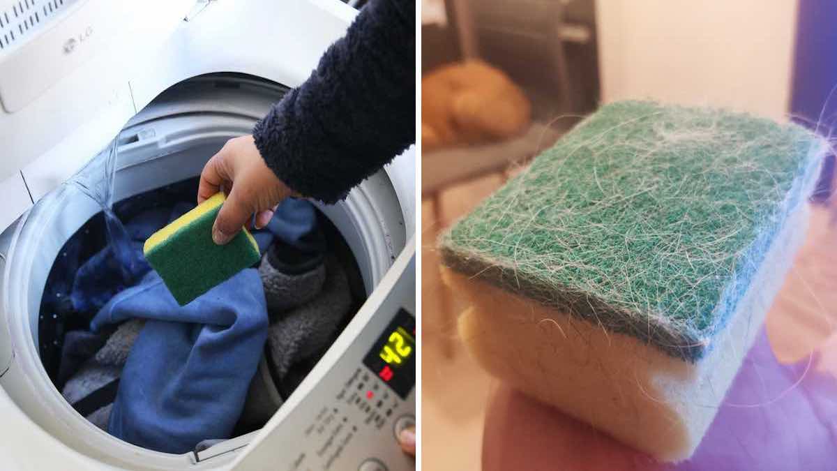 Découvrez pourquoi de plus en plus de gens mettent une éponge dans la machine à laver