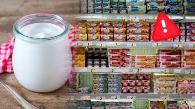 7 yaourts dangereux pour la santé à éviter de manger à tout prix, les raisons expliquées