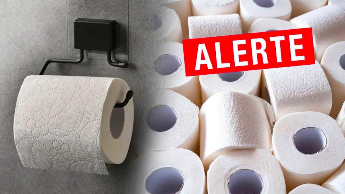 Le papier toilette est nocif pour la santé selon la médecine, l’alternative à privilégier